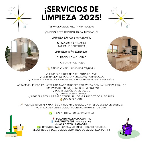 Trabajo1 Servicio de limpieza - particular  en Valencia - Ann